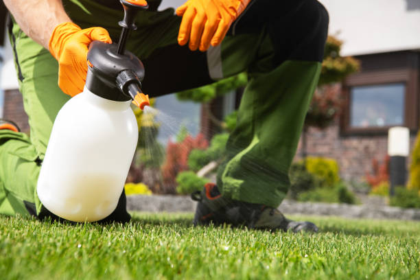 Best Local Pest Control Services  in Lenape Heights, PA