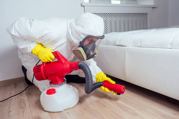 Best Wasp Removal Services  in Lenape Heights, PA